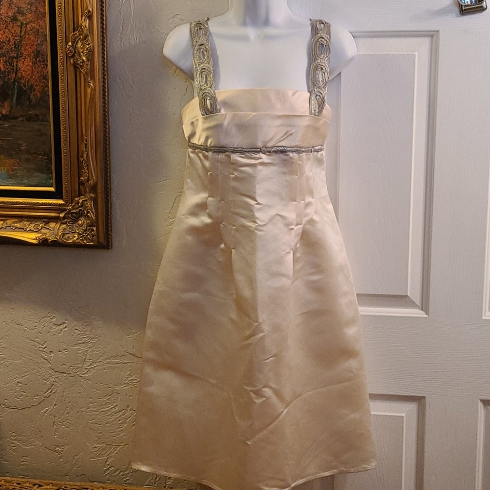NU-Satinu Silk Dress NWT